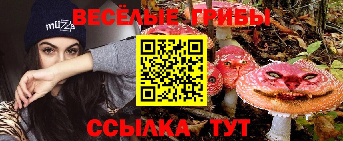 где продают   Псилоцибиновые грибы Magic Shrooms  Галлюциногенные грибы мухоморы  Вход с VPN  Сургут 